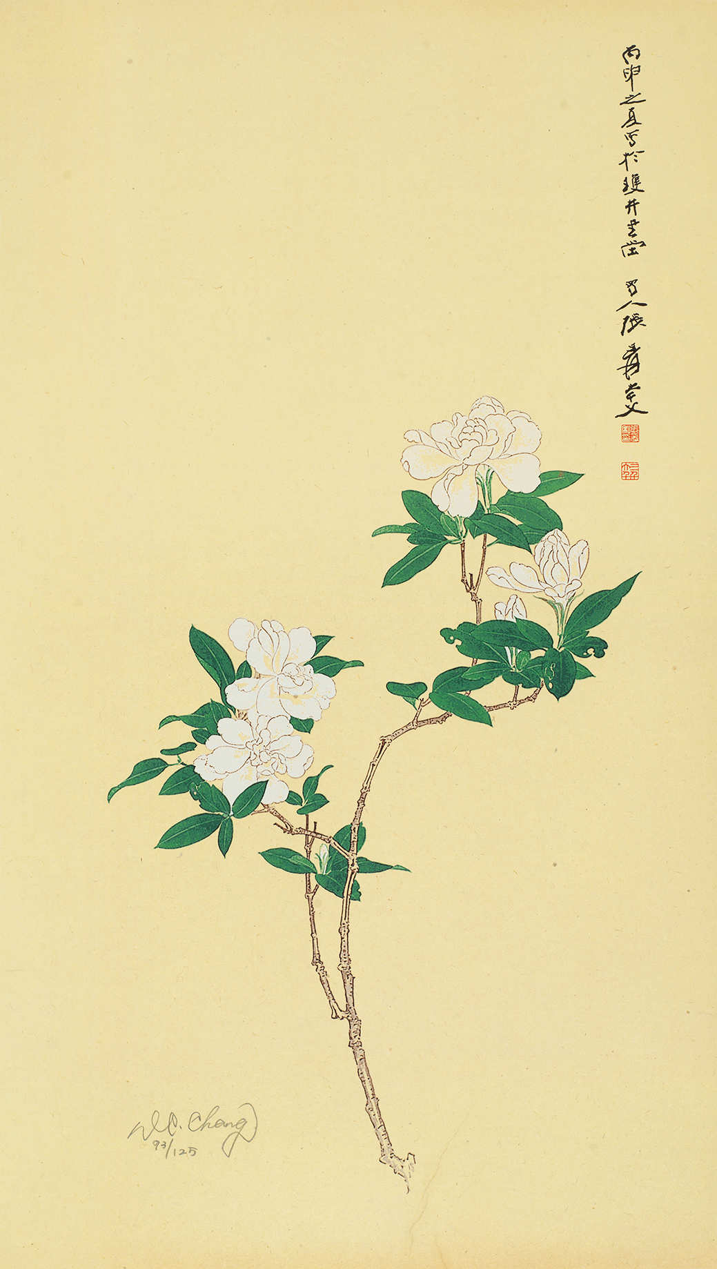 栀子花开93/125