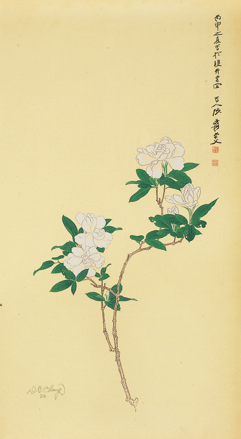 栀子花开EA