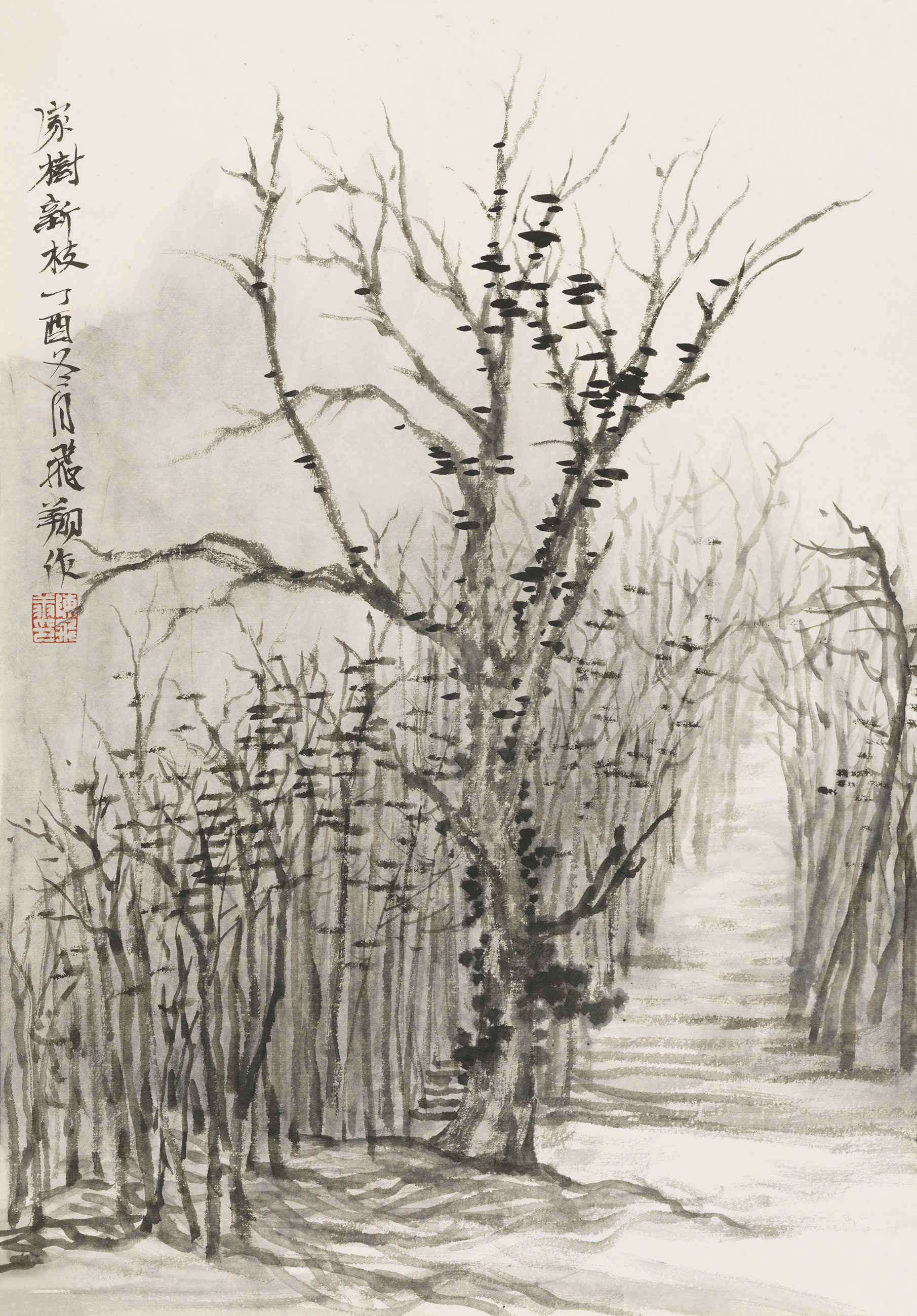家树新枝
