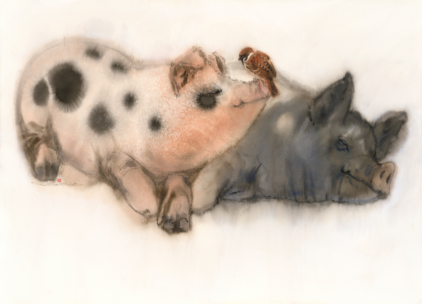 日安你好