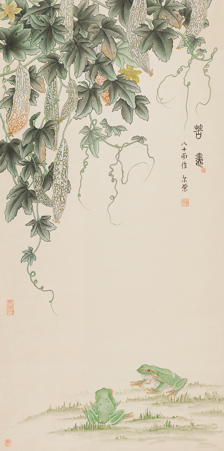 苦蛙