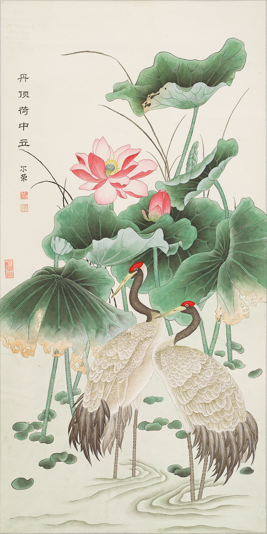 丹顶荷中立