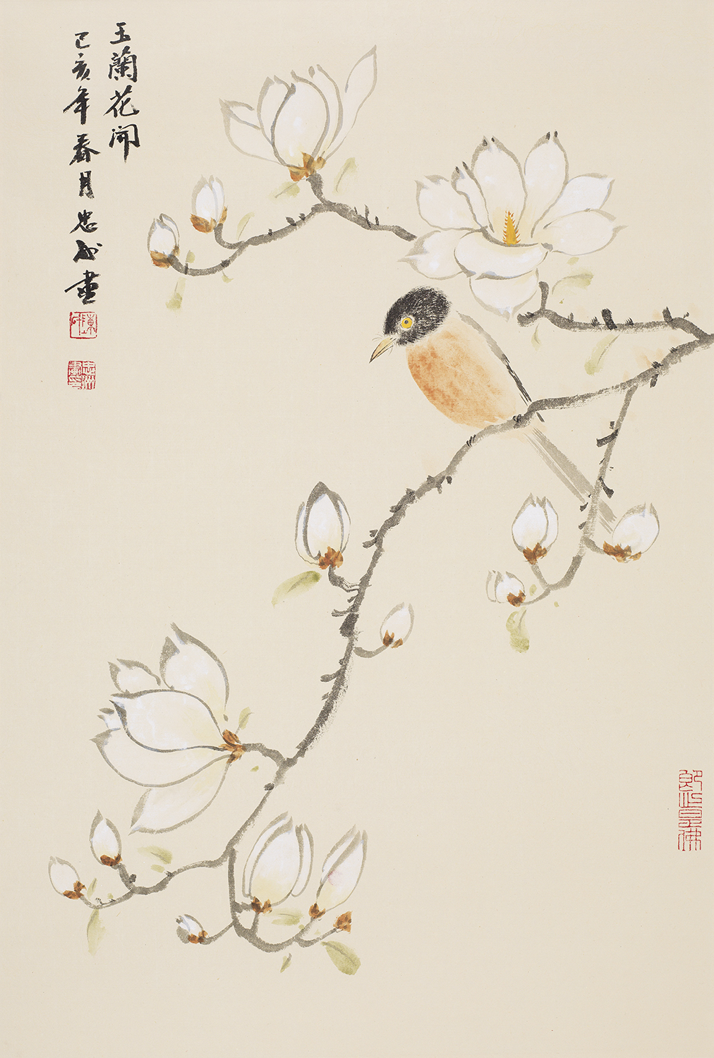 玉兰花开