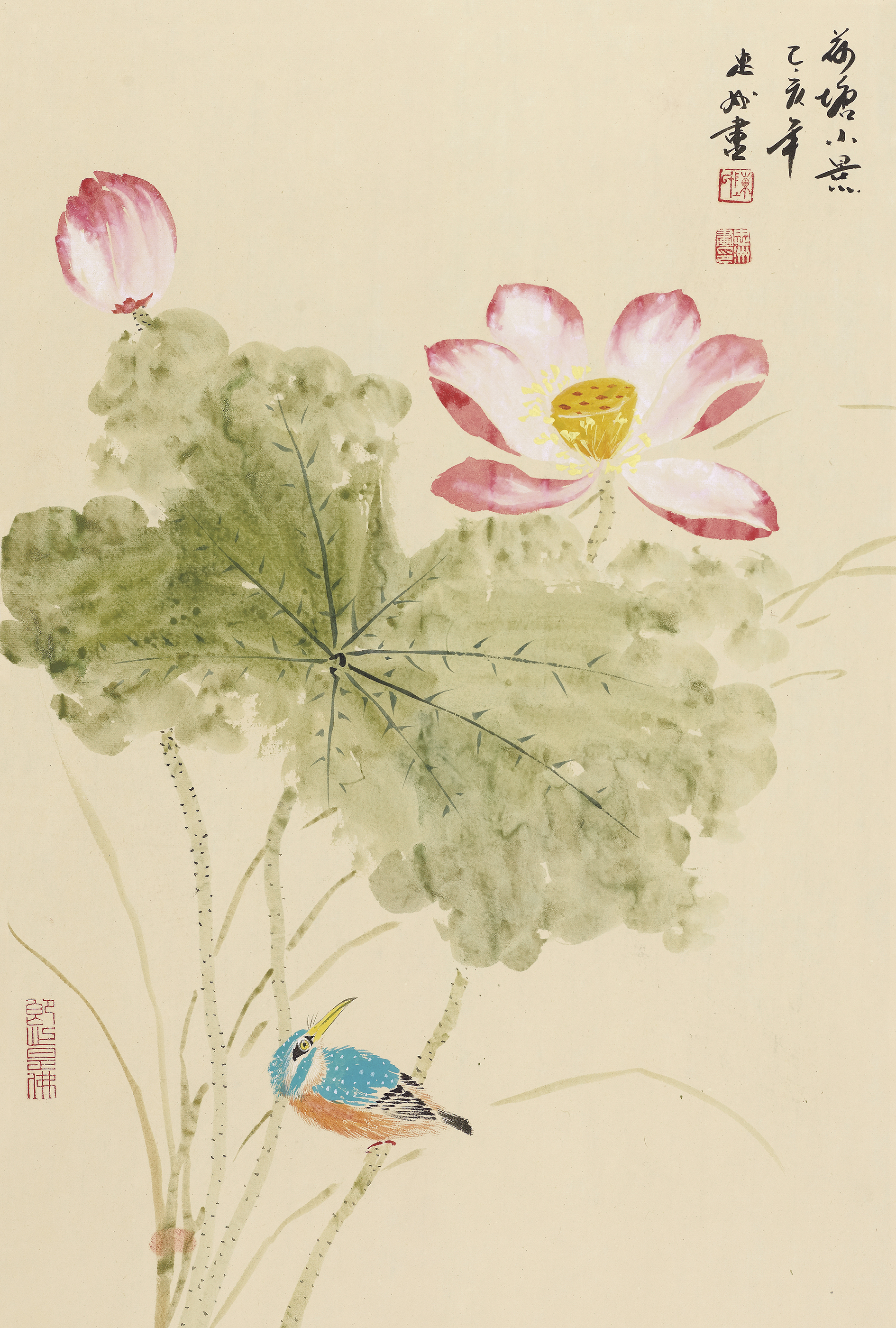 荷塘小景