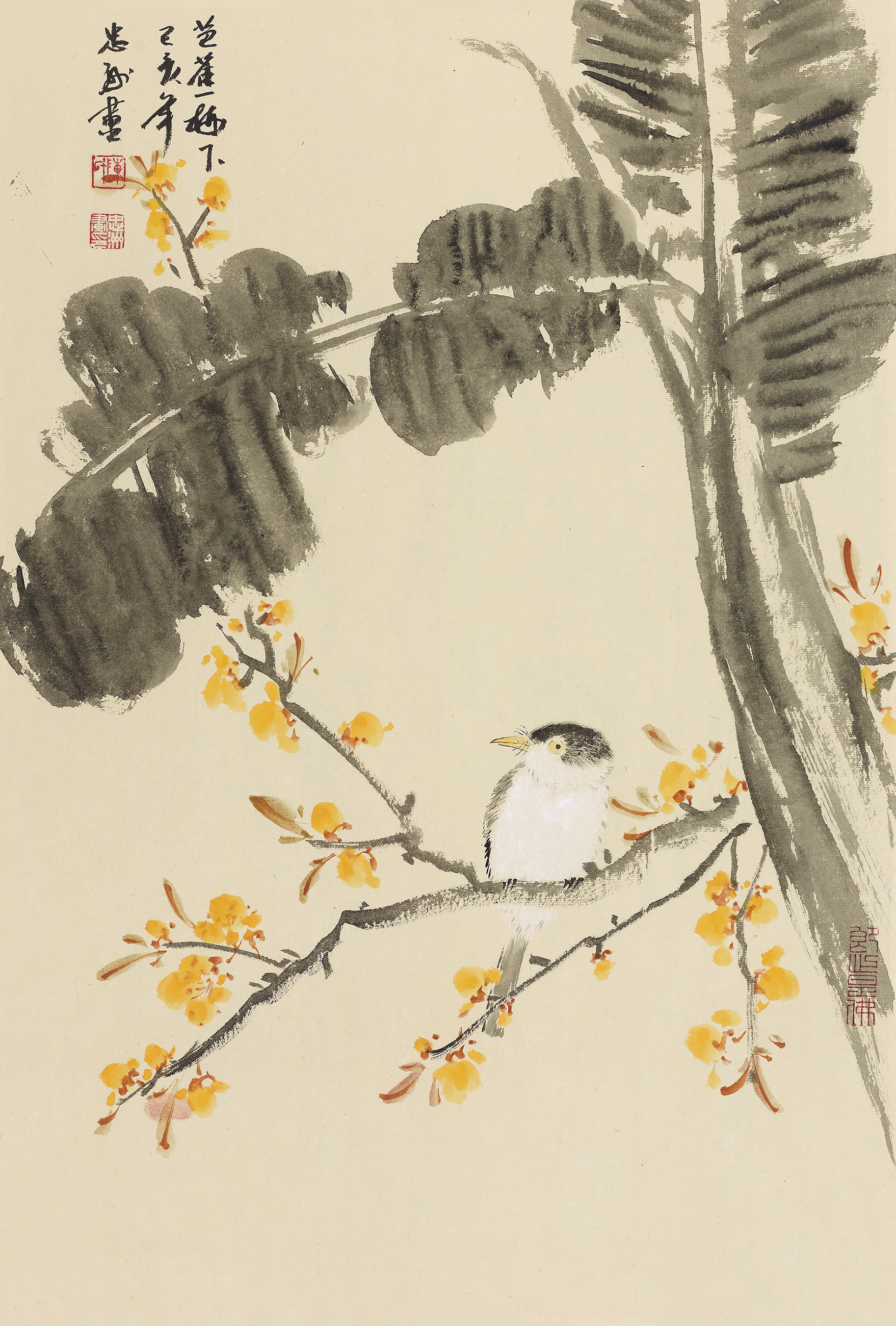 芭蕉树下