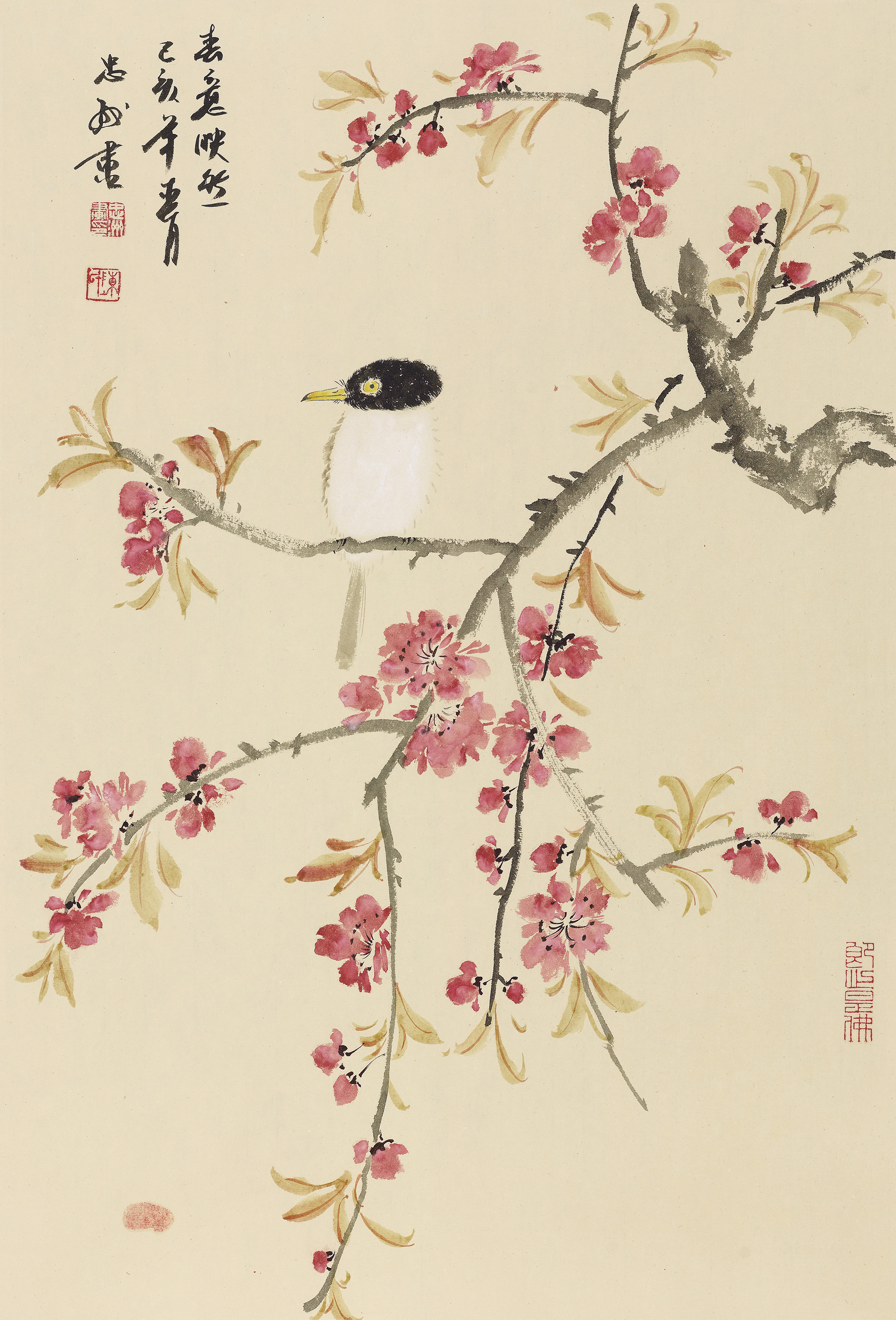 春意映然
