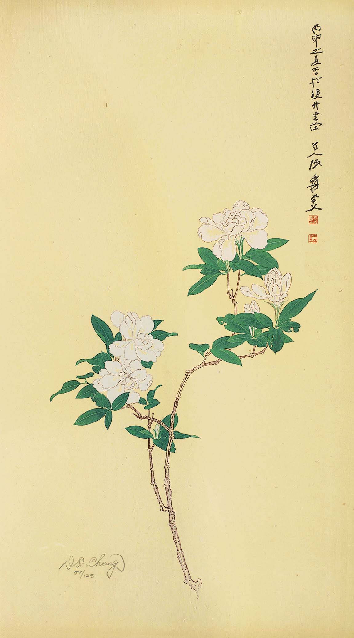 栀子花开59/125