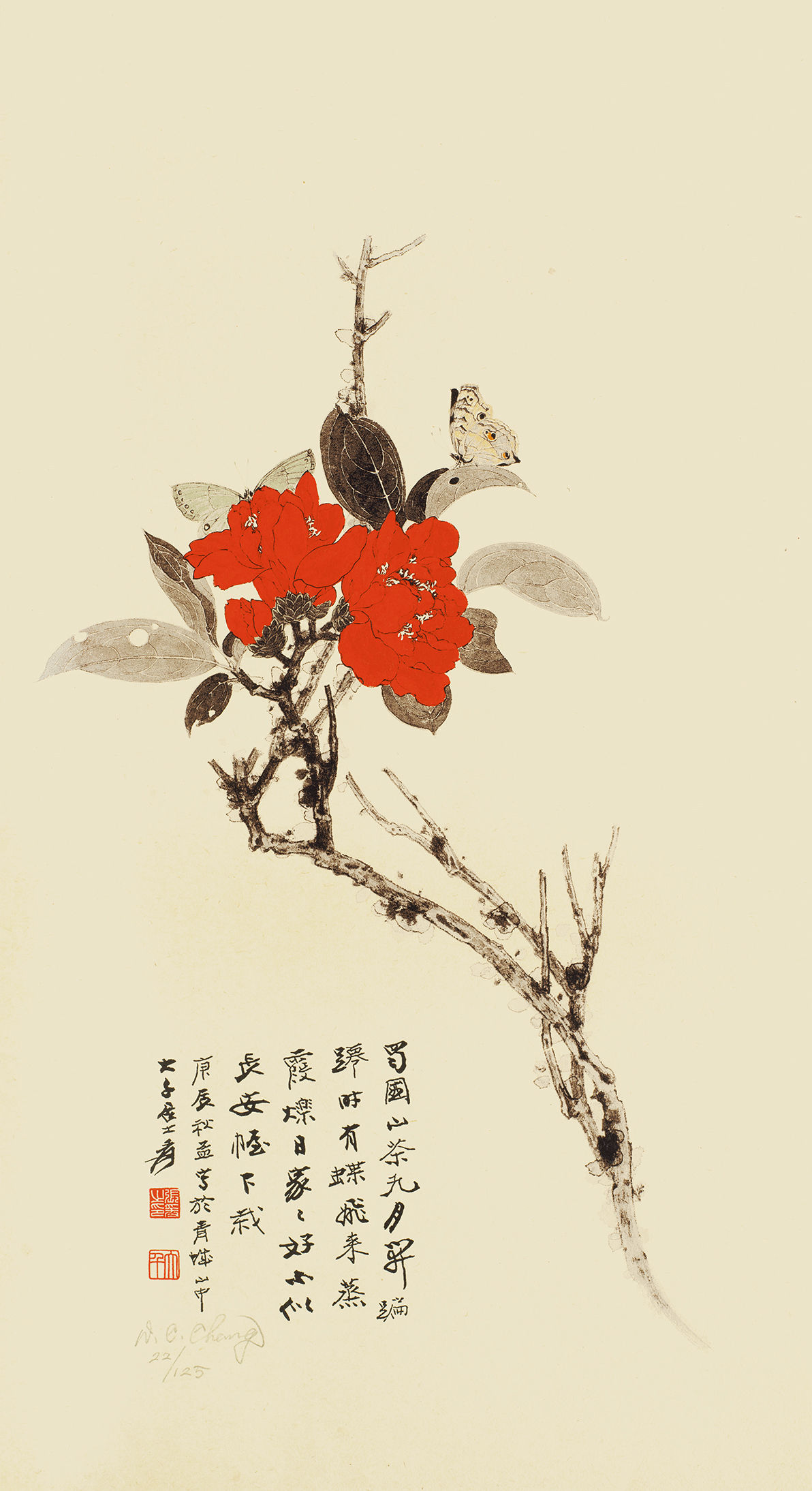 山茶花22/125