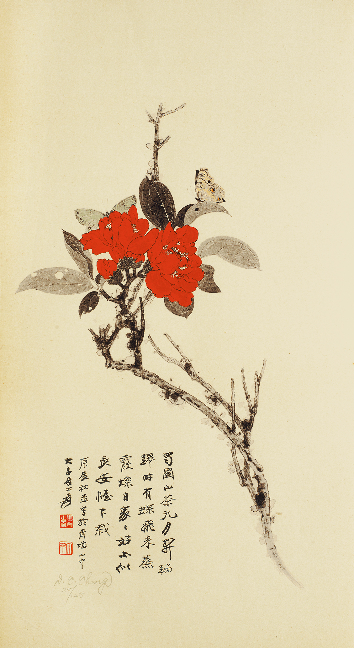 山茶花25/125