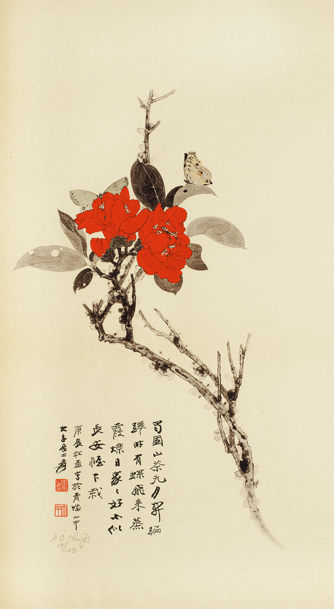 山茶花19/125