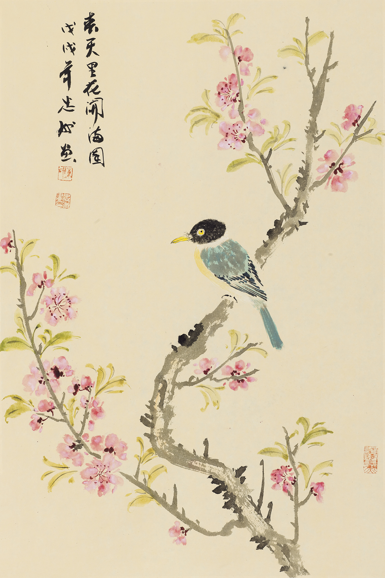 春天里花开满园
