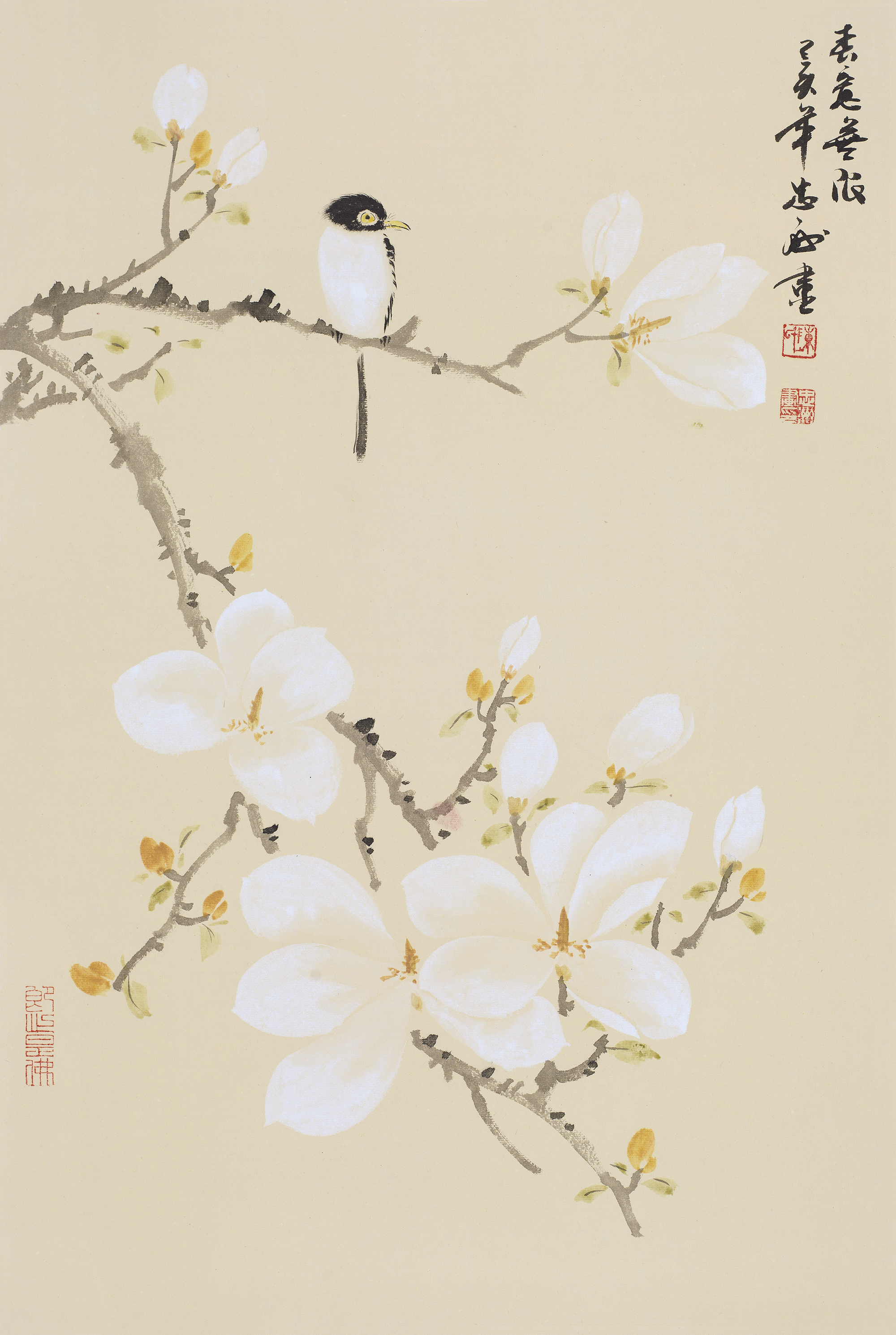 春意无限