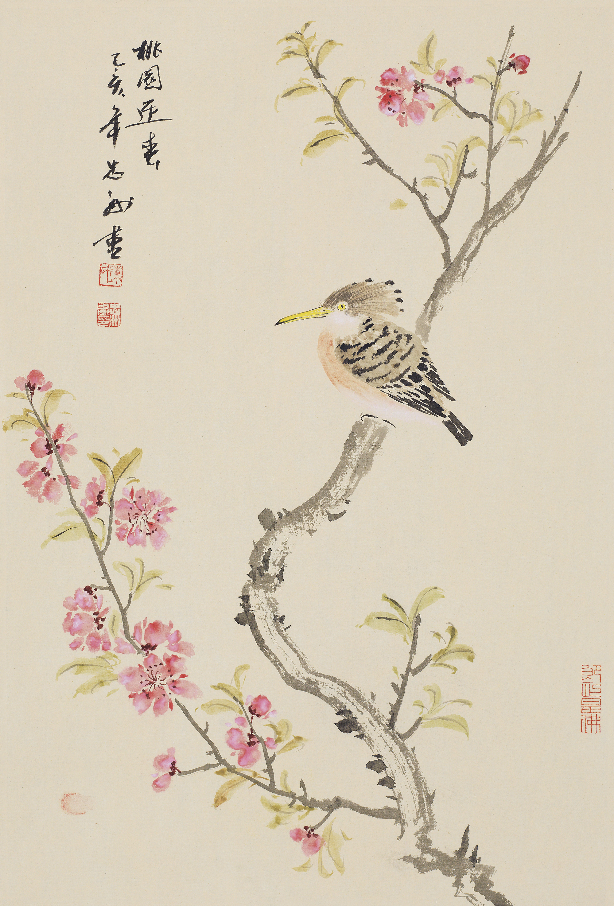 桃园迎春