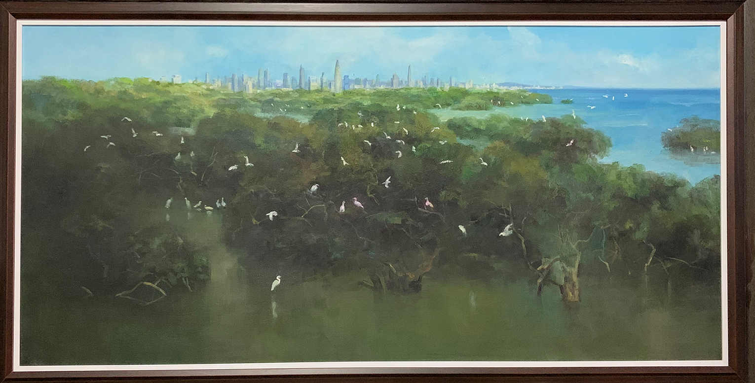 小鸟天堂——深圳红树林