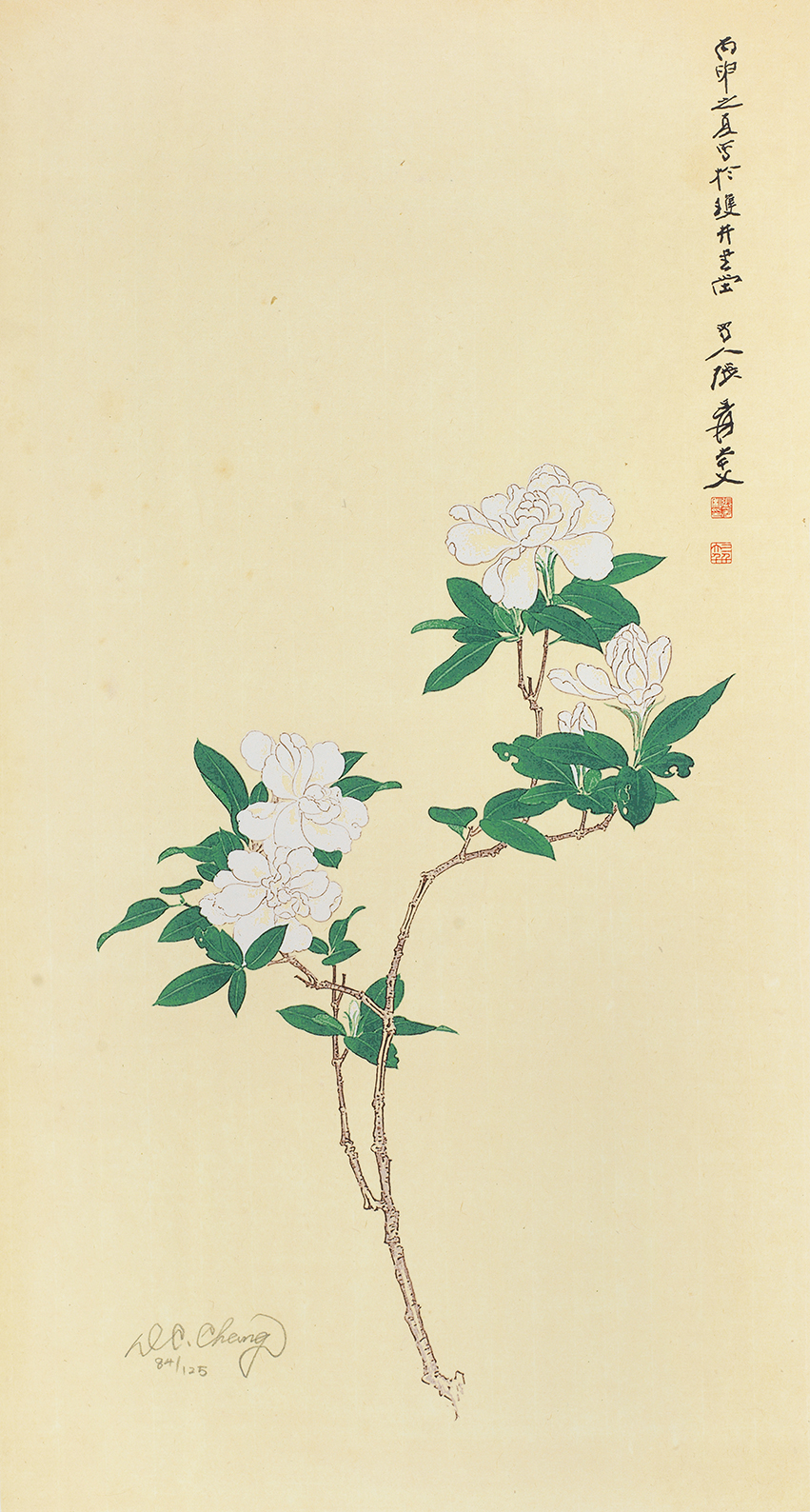 栀子花开84/125