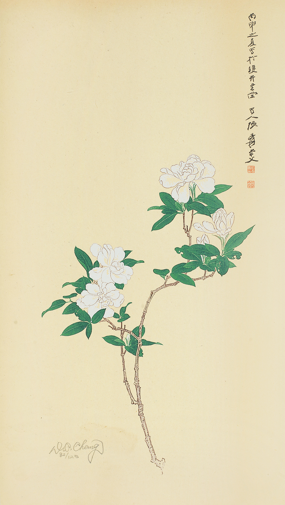 栀子花开82/125
