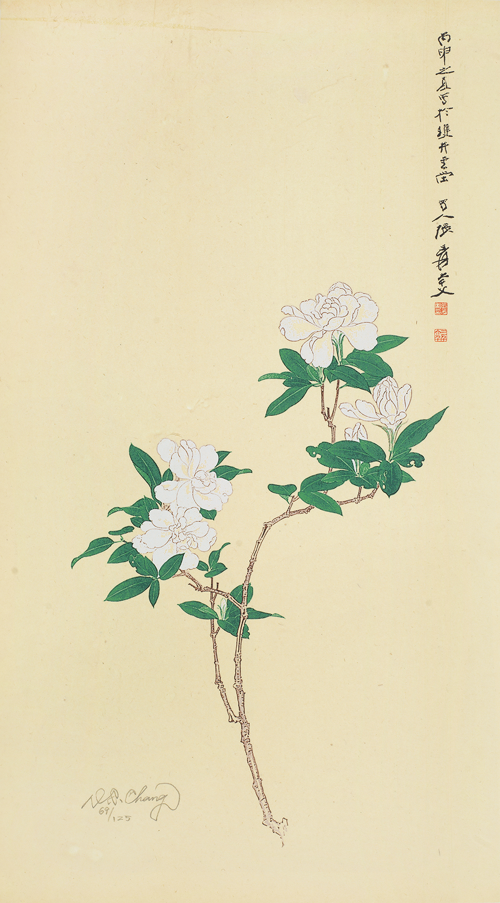 栀子花开69/125