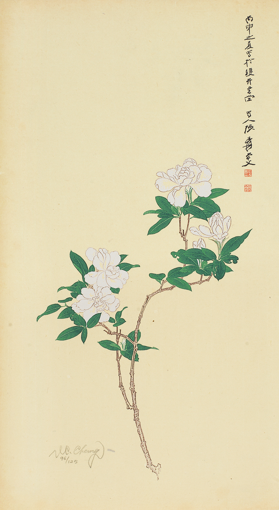 栀子花开96/125