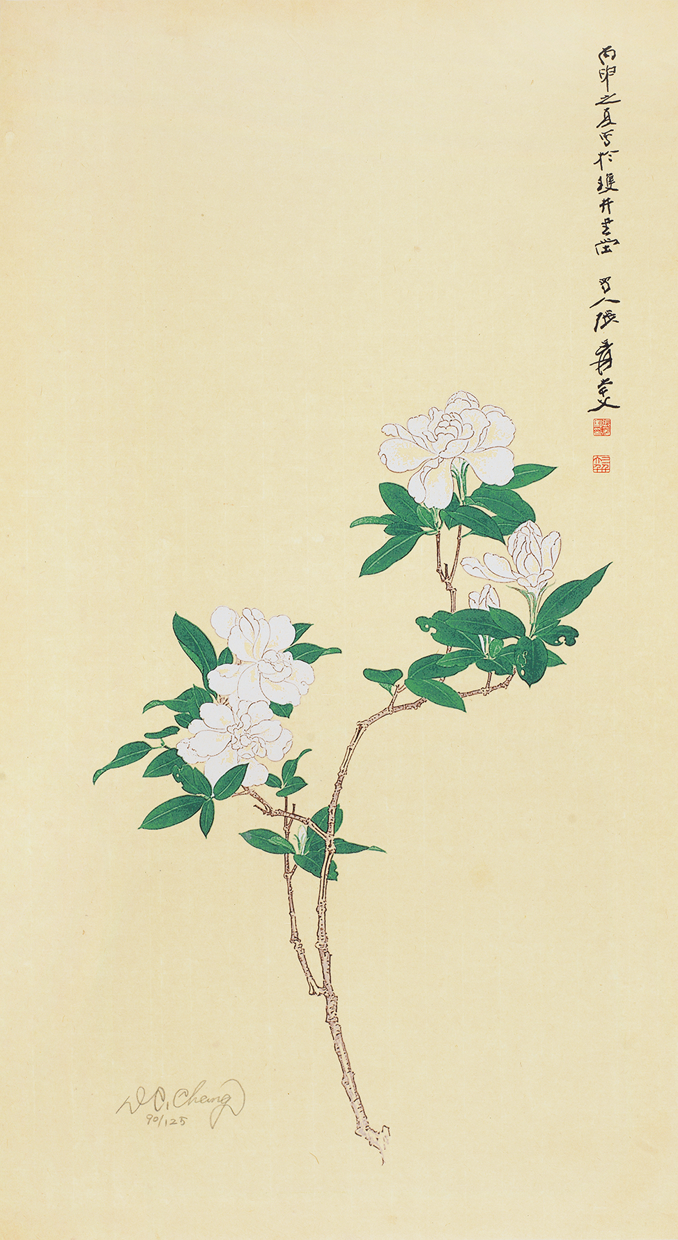 栀子花开90/125