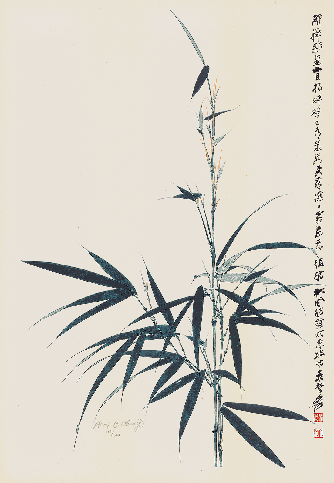竹节节高114/125