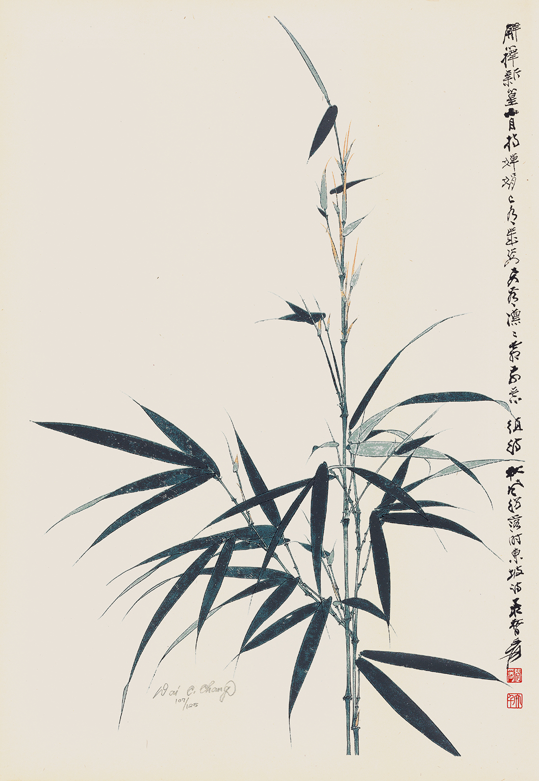 竹节节高107/125