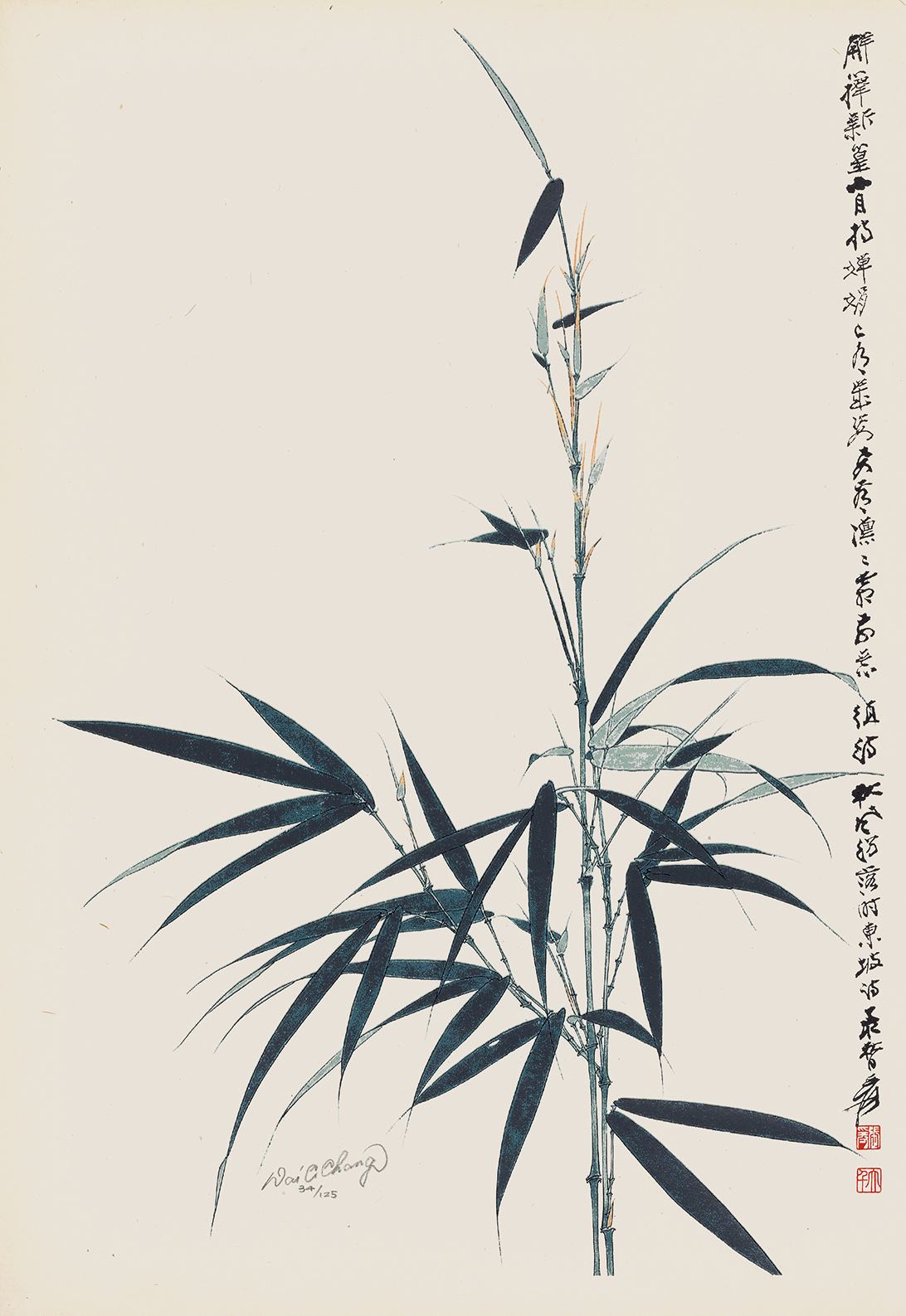 竹节节高34/125