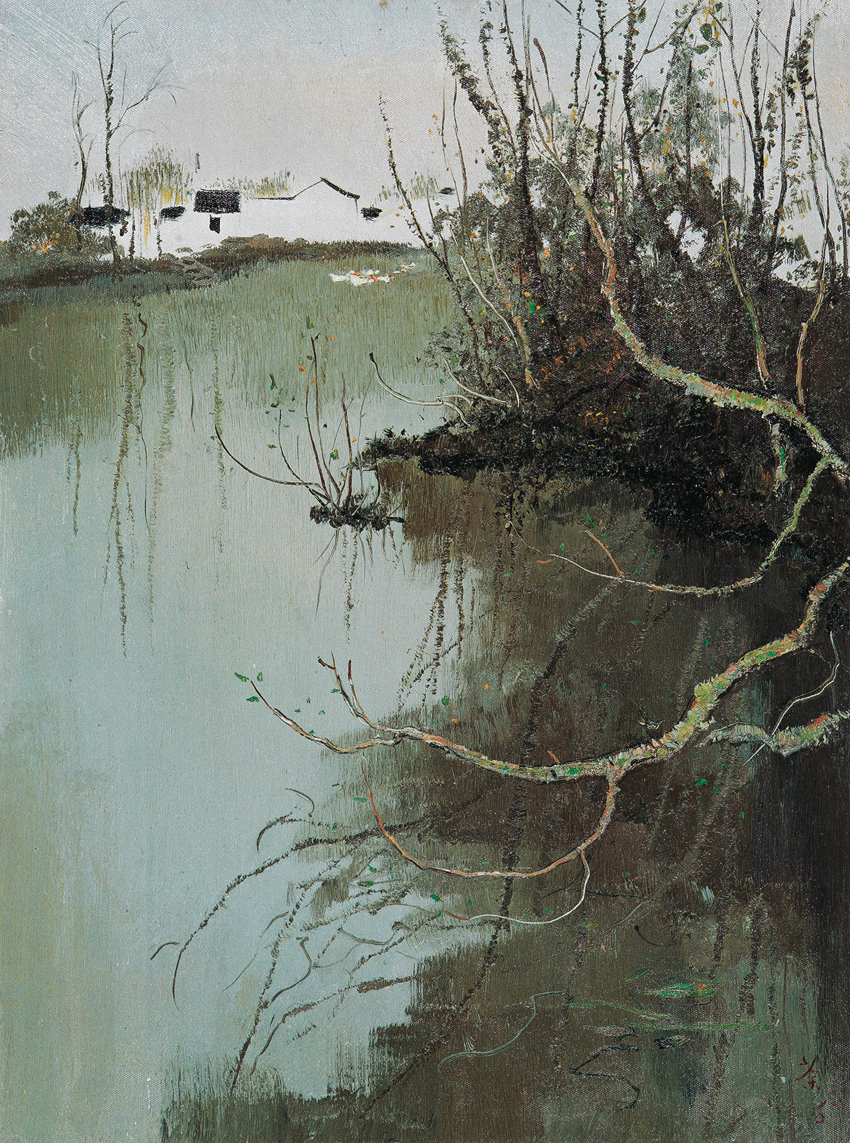 水乡129/2008