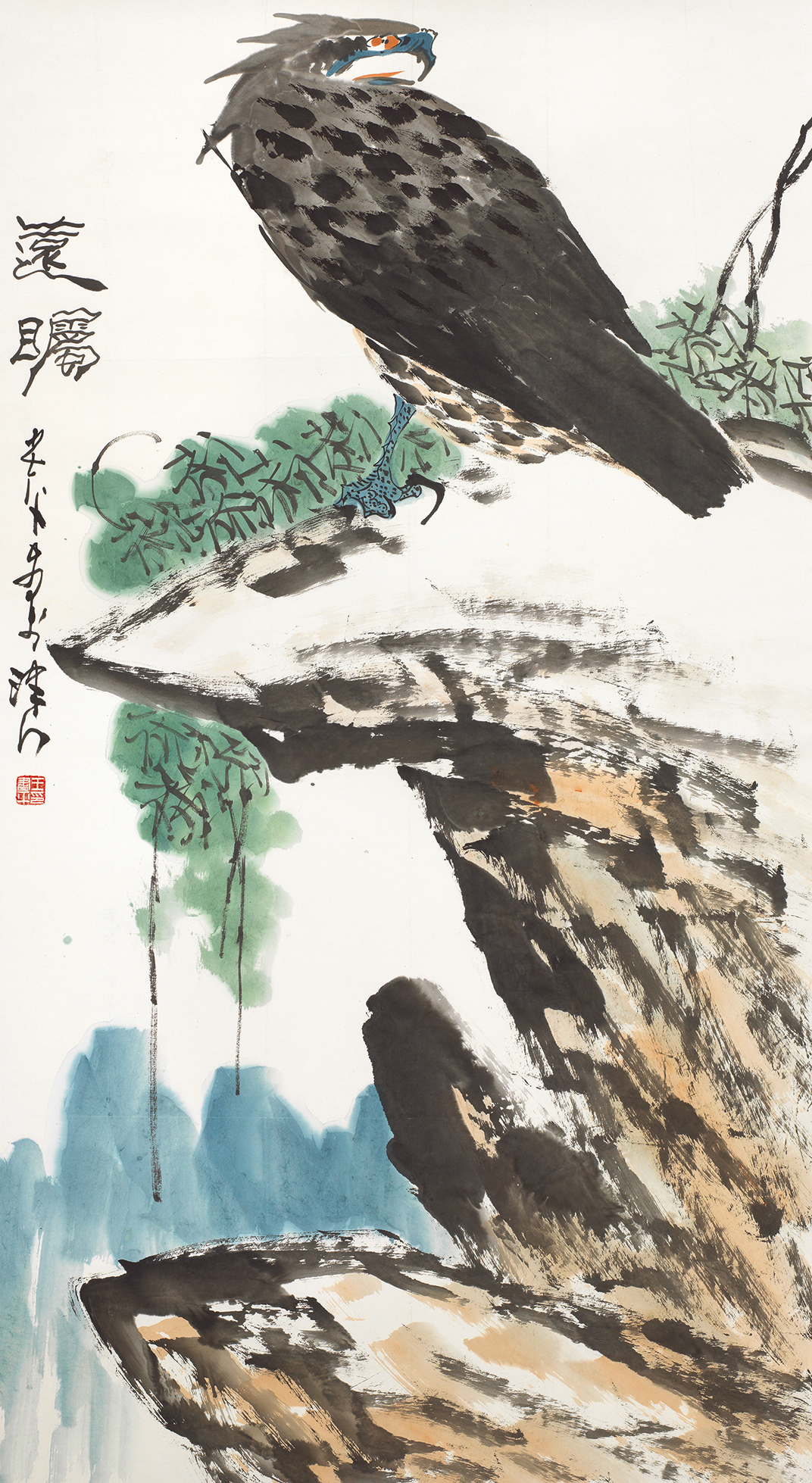 远瞩