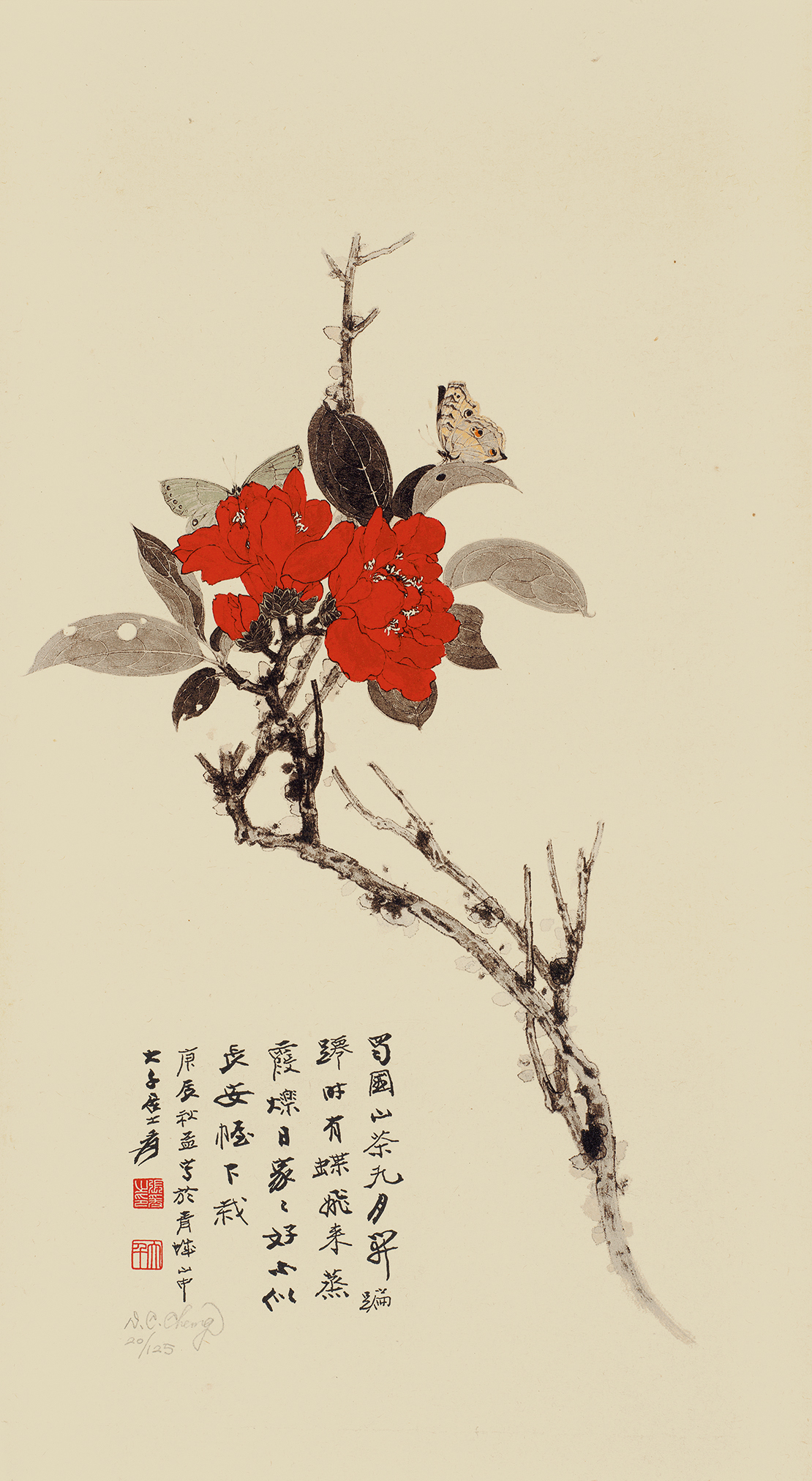 山茶花20/125