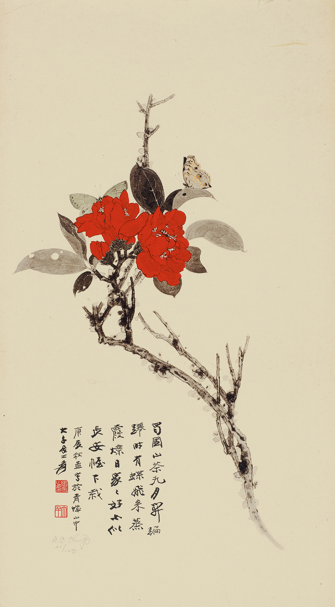山茶花21/125