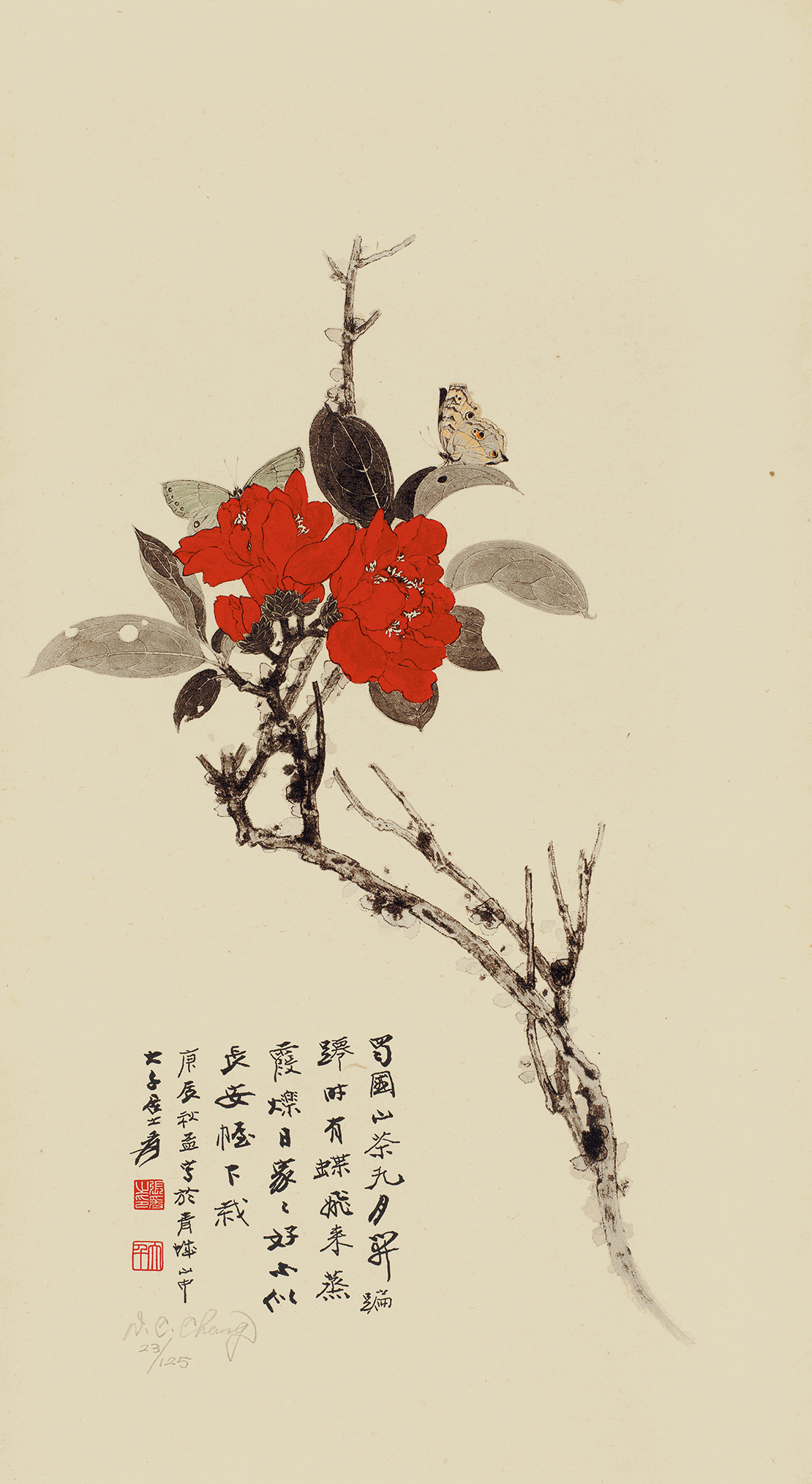 山茶花23/125