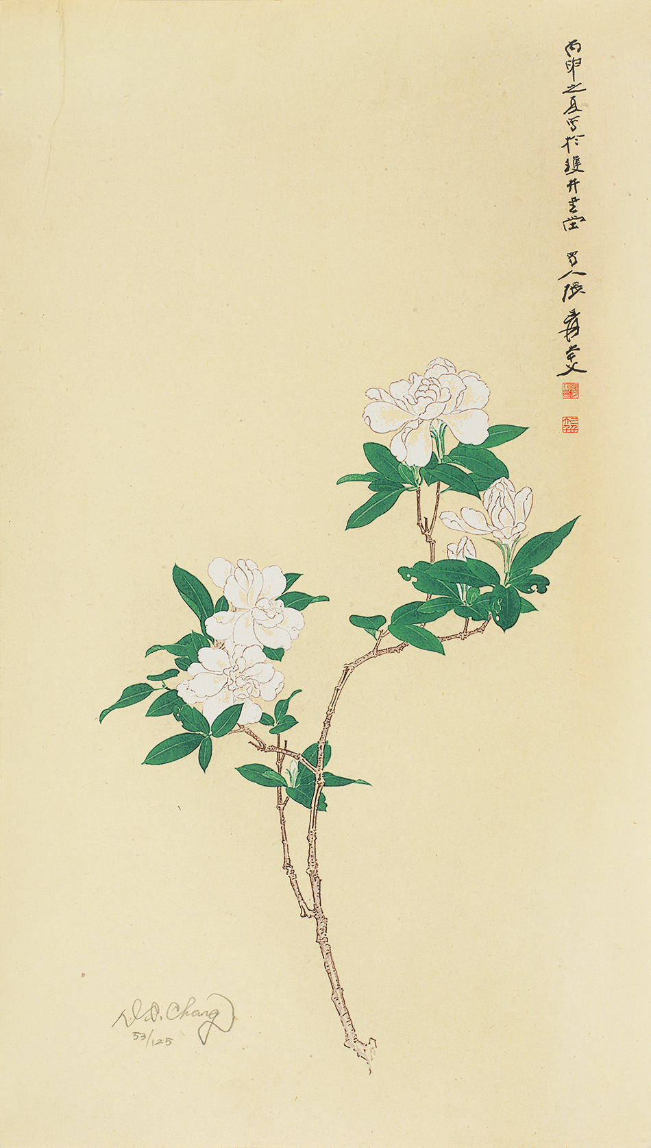 栀子花开53/125