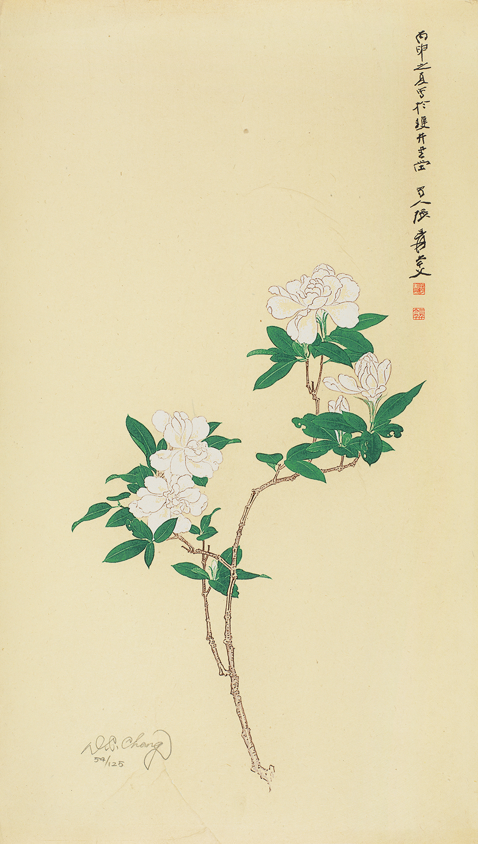 栀子花开54/125