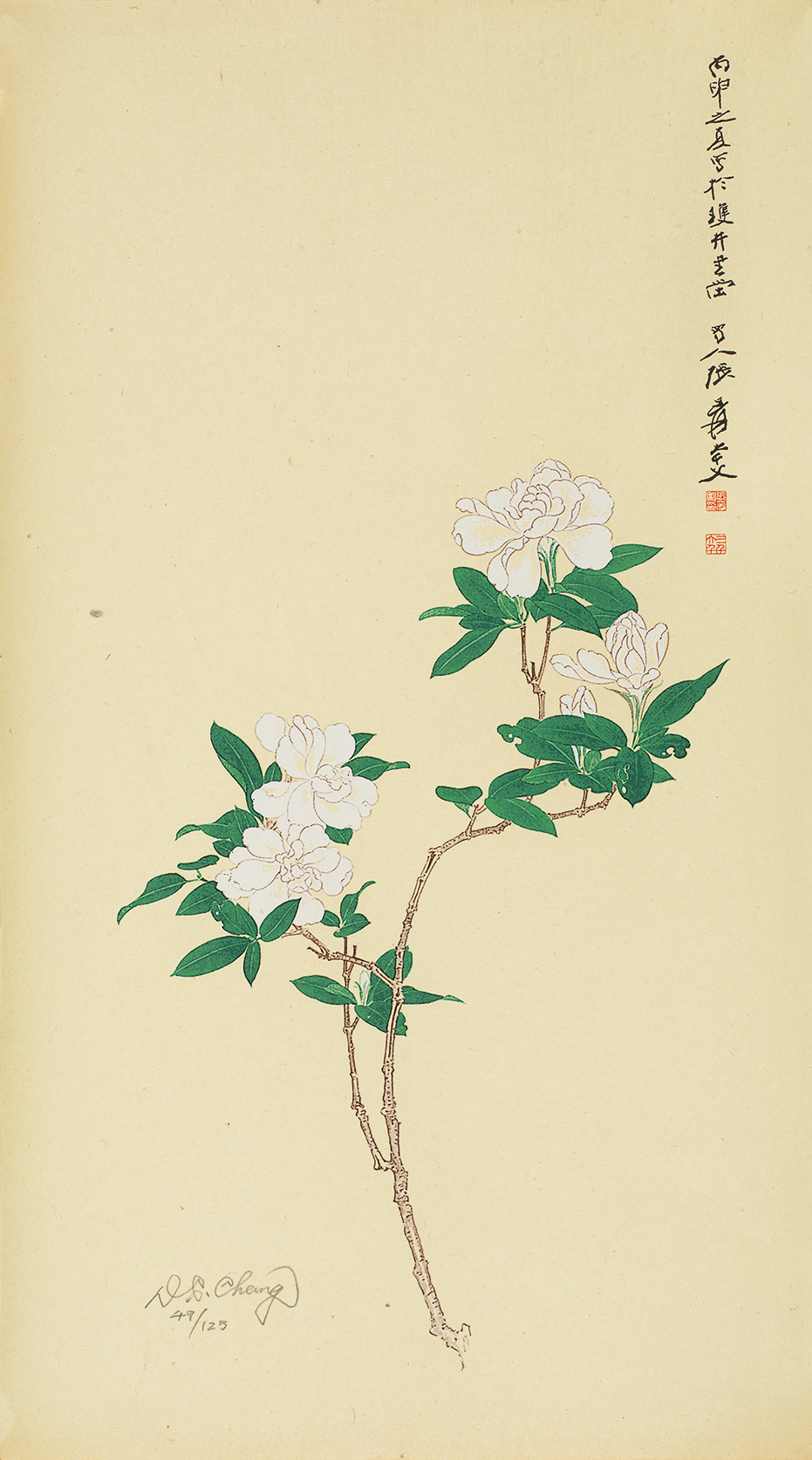 栀子花开49/125