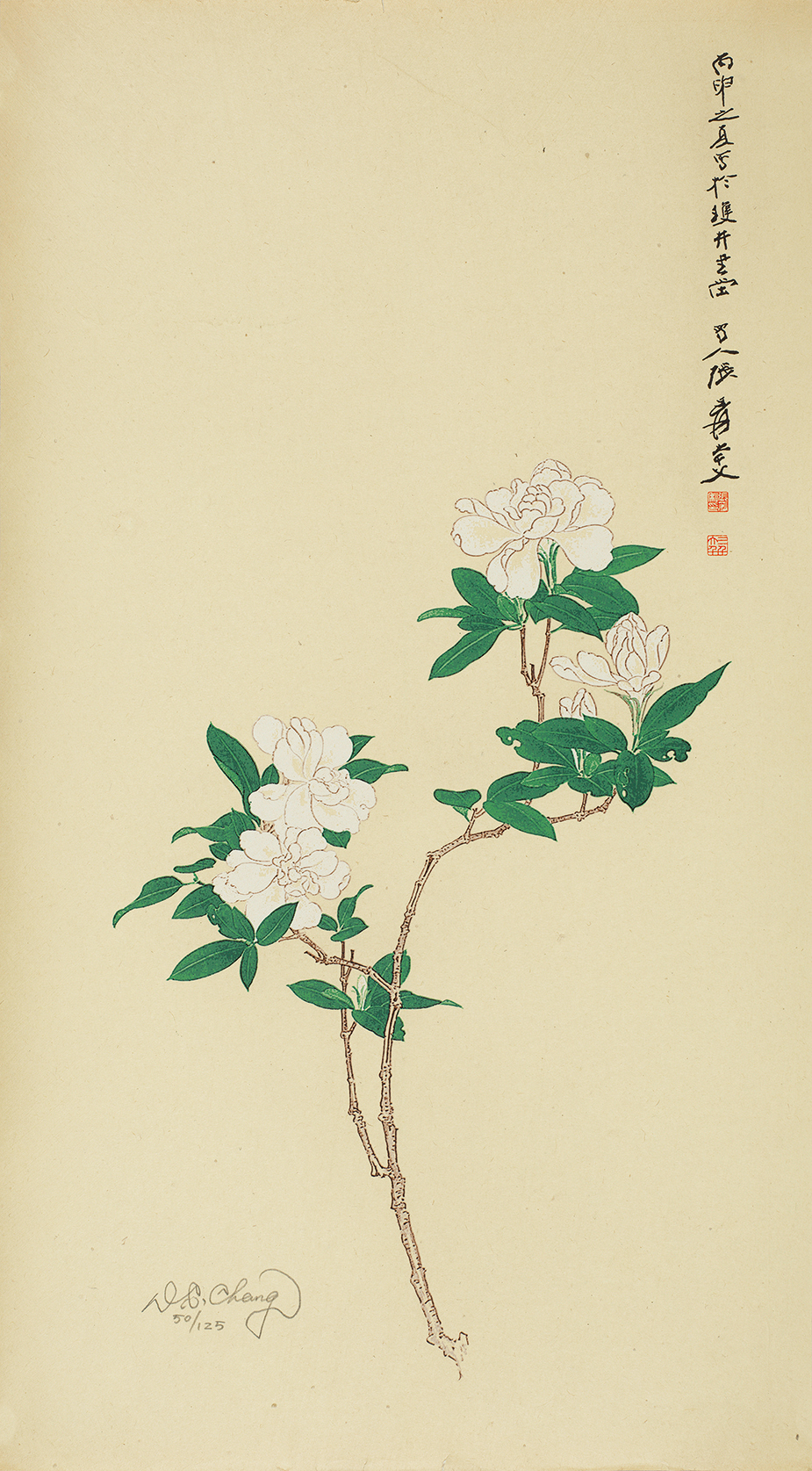 栀子花开50/125