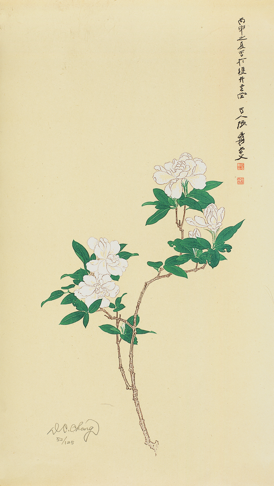 栀子花开52/125