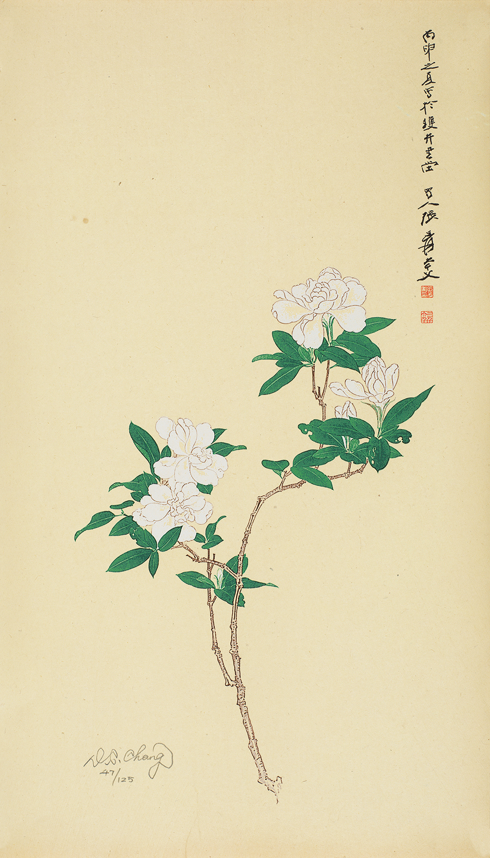 栀子花开47/125