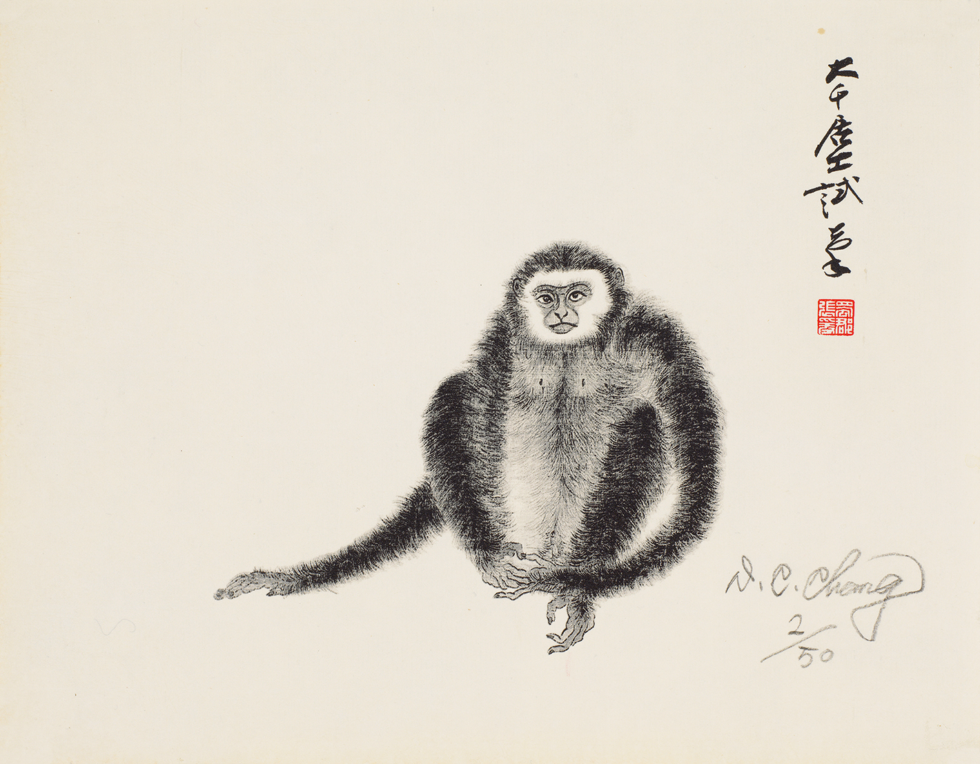 猿2/50