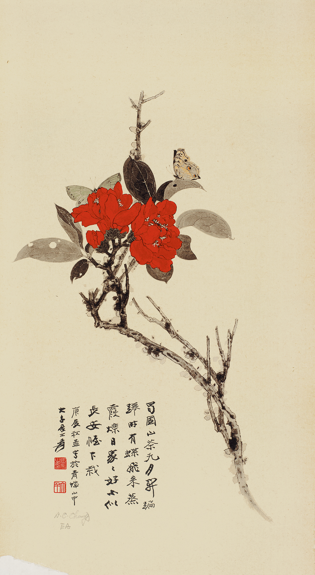 山茶花EA