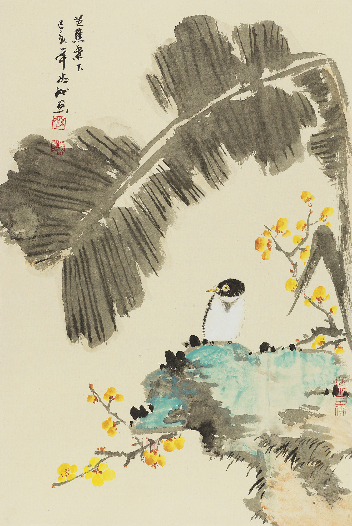 芭蕉叶下