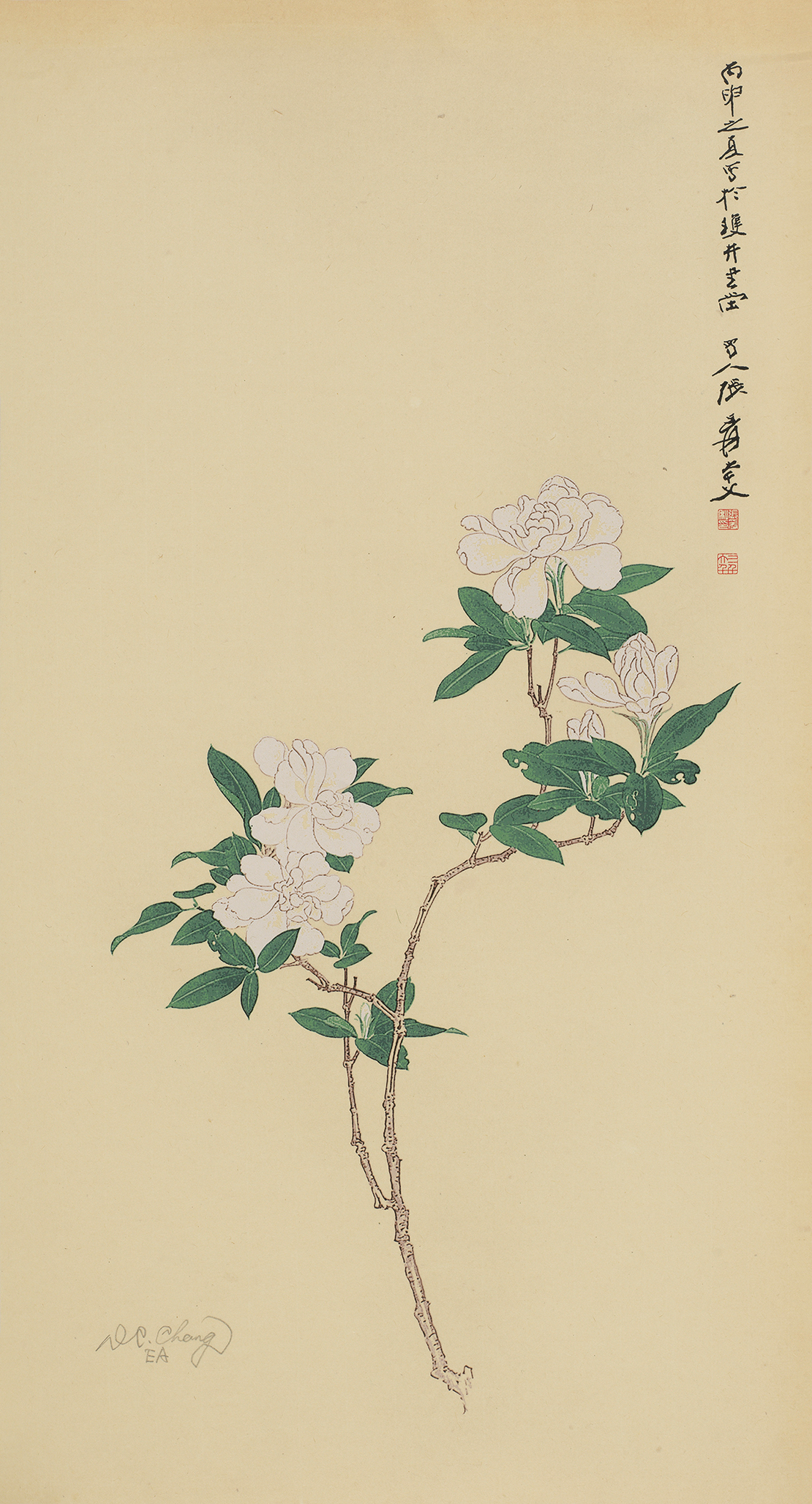 栀子花开EA