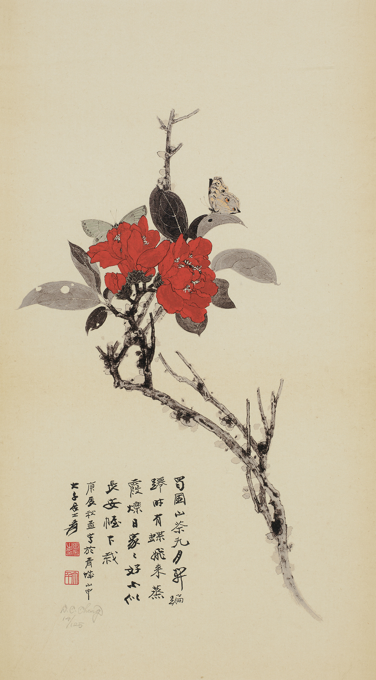 山茶花14/125