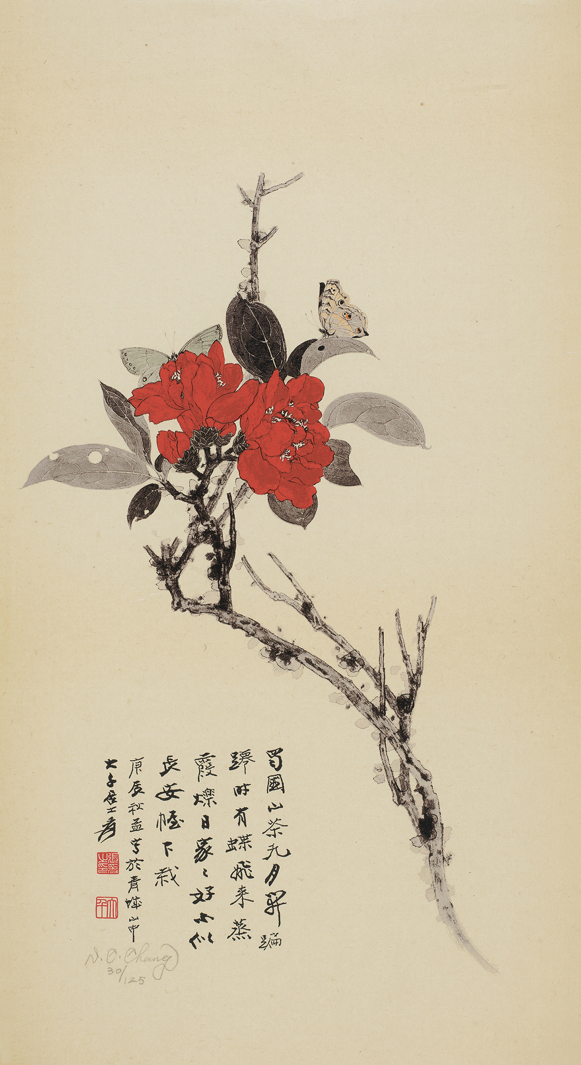山茶花30/125