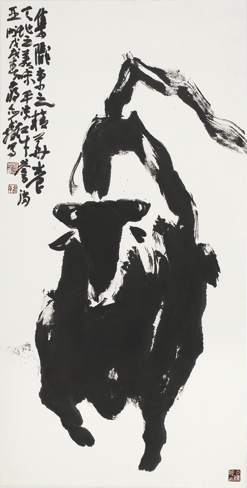 陇东红牛