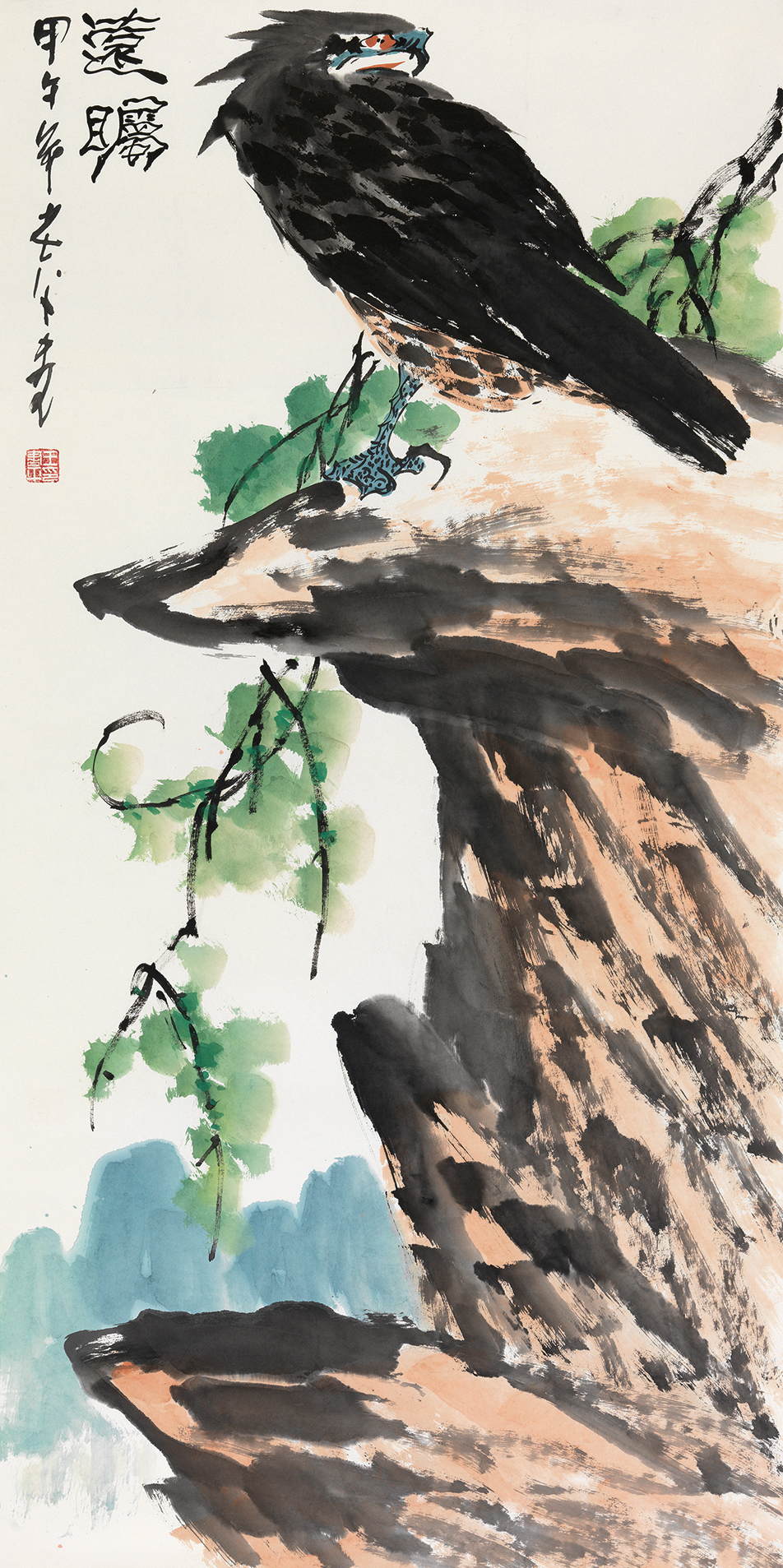 远瞩