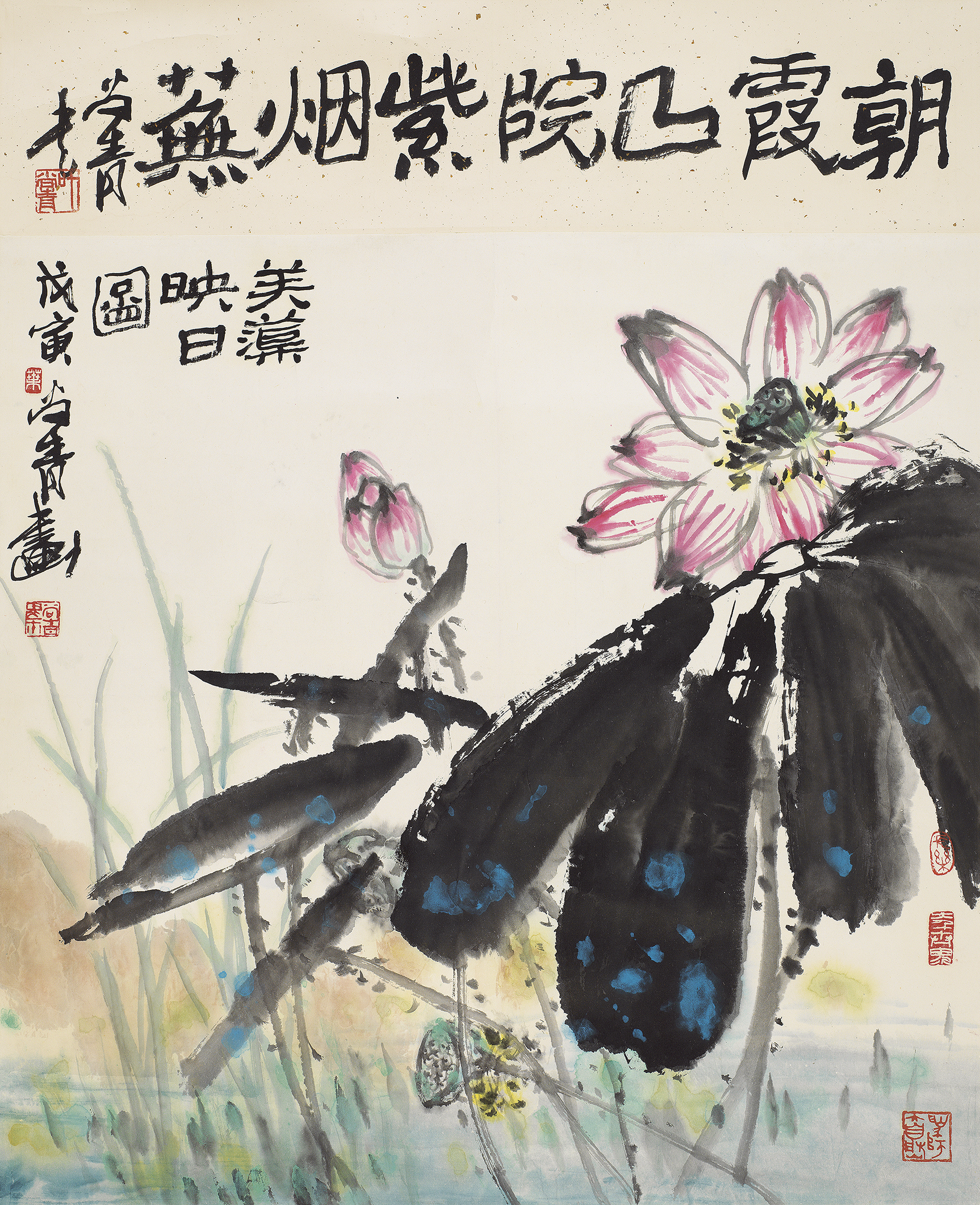 芙蕖映日