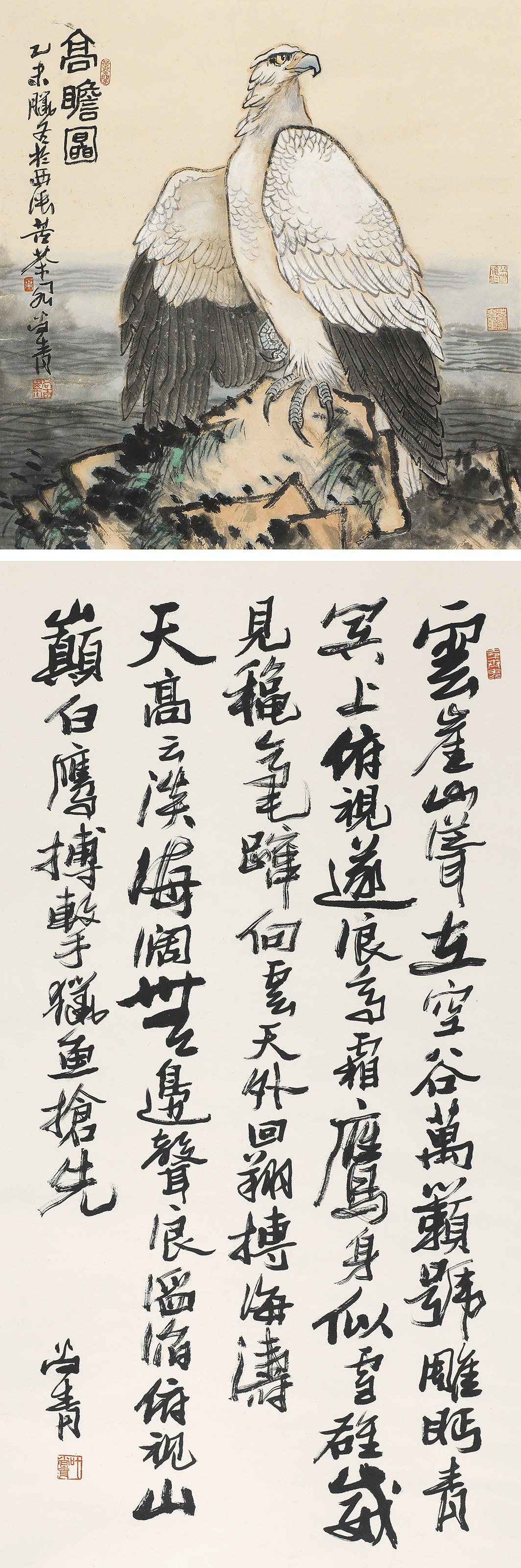 高瞻图