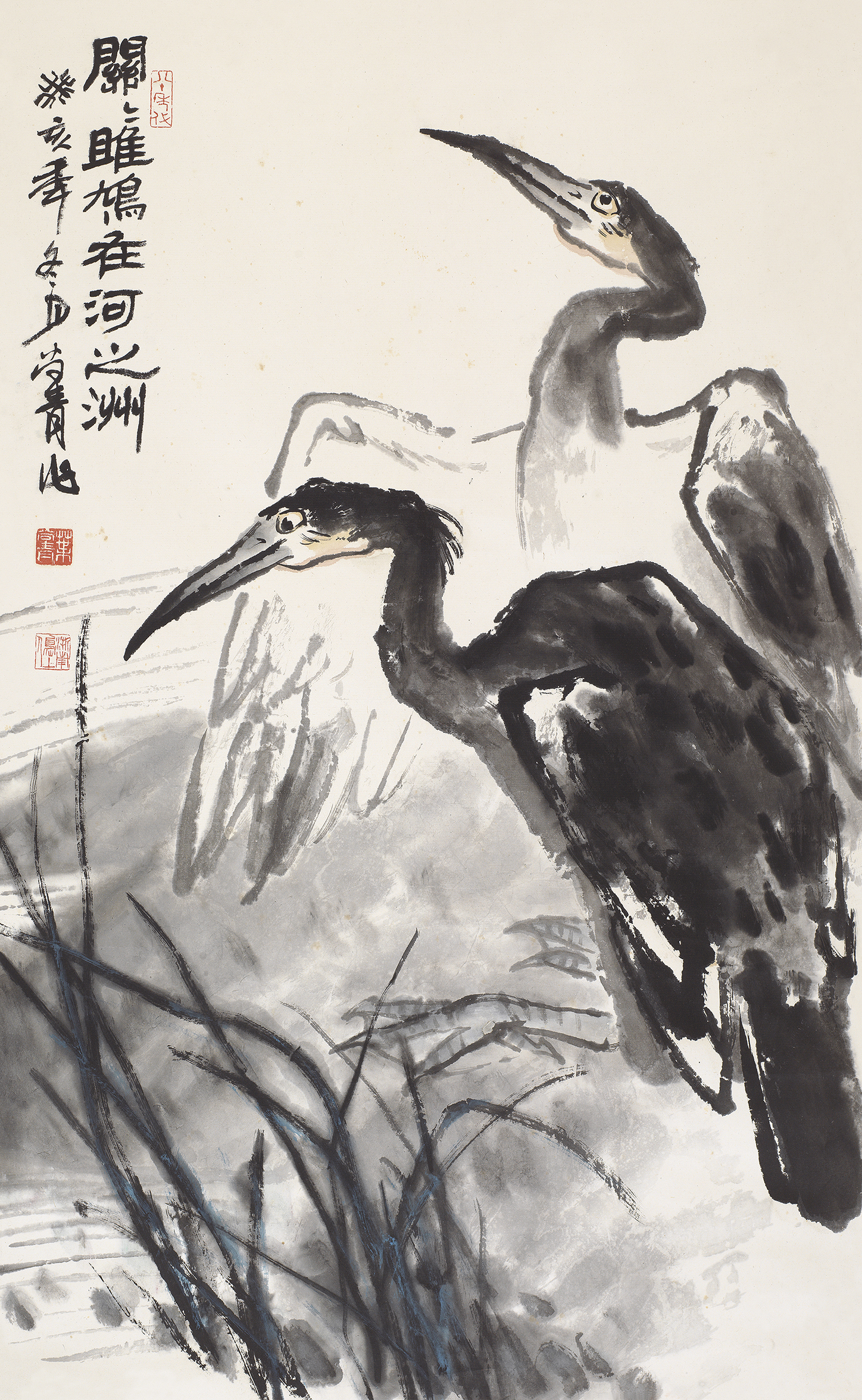 关关雎鸠