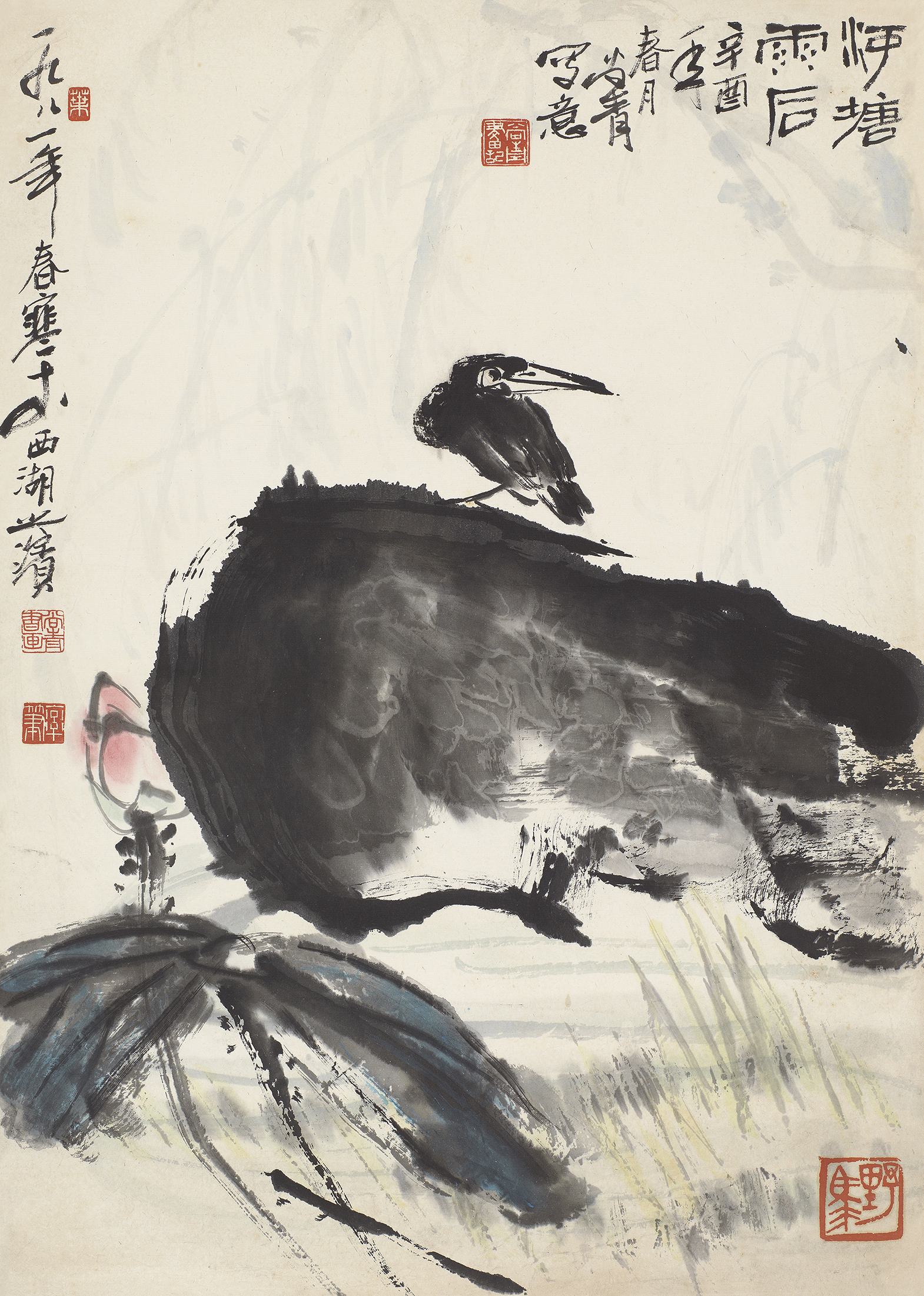 荷塘雨后