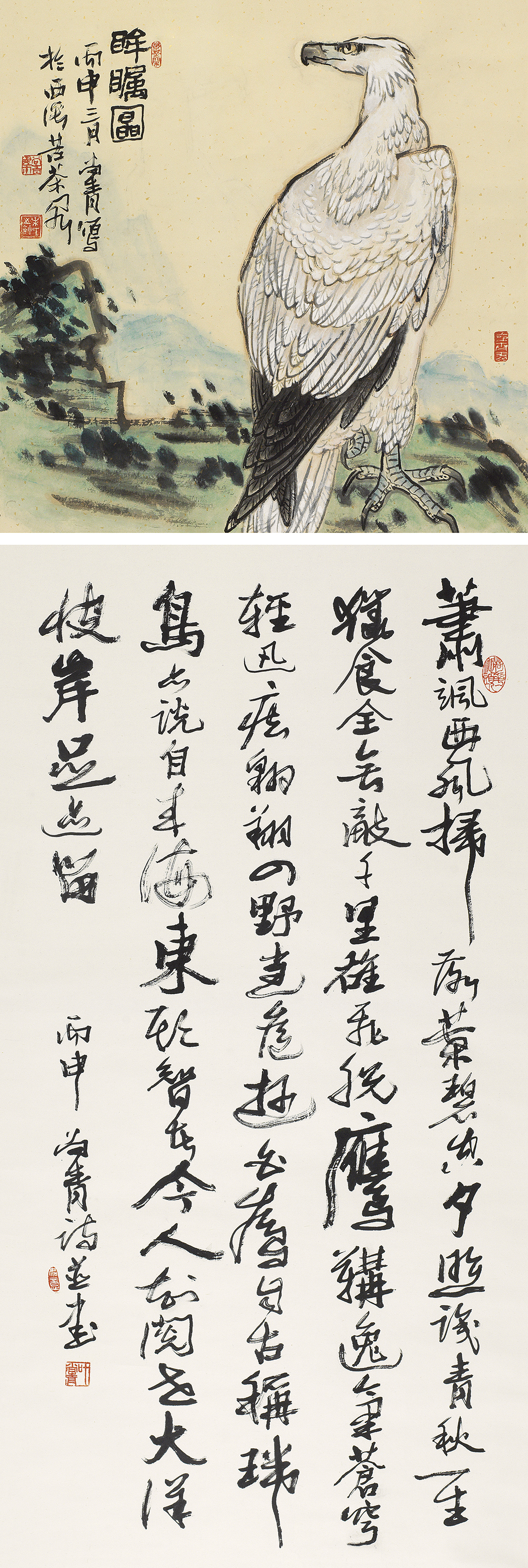 眸瞩图